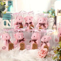 Guest Gift package  - Party Favors