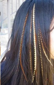 18" Grey rooster feather hair extensions Kit