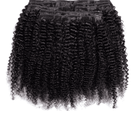 Afro Kinky Curly Clip-Ins - 120g - SashBeauty